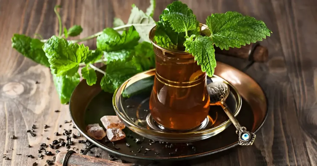 Fresh Mint and Green Tea for Moroccan Mint Tea